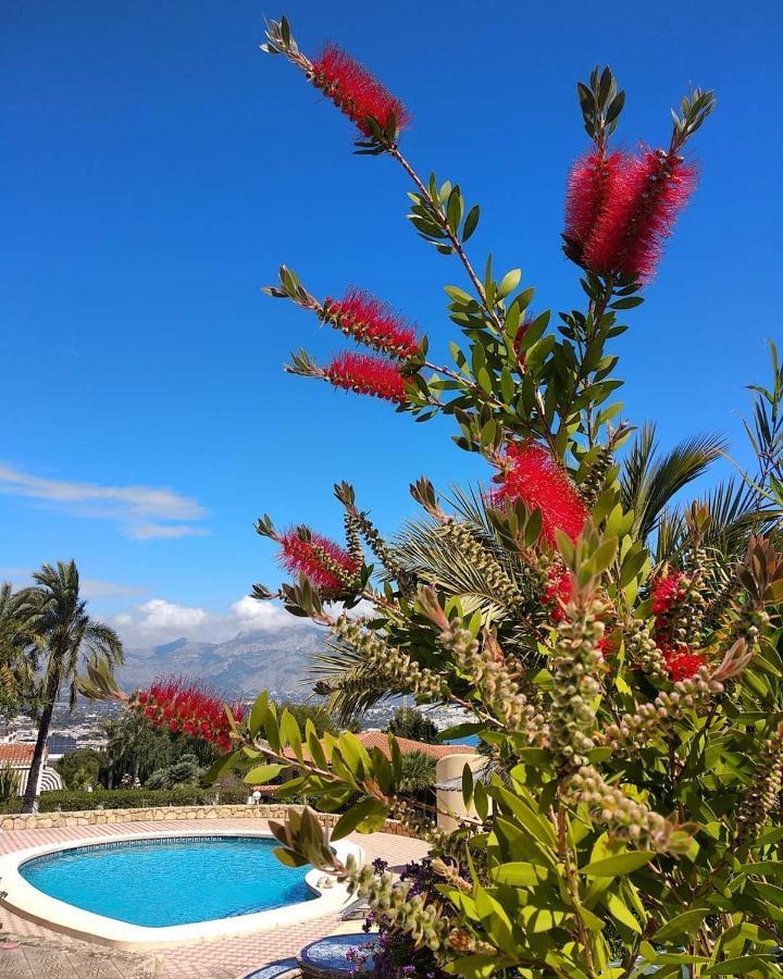 Albir Resort El Albir Exterior photo